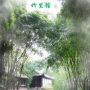 대숲속으로 이미지