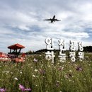 인천공항 하늘정원 이미지