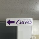 커브스단구클럽 이미지