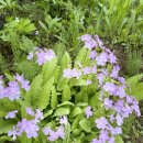 미래농장2 이미지