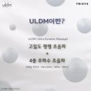 디엠플러스