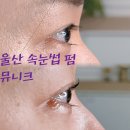 뮤니크 | 울산북구속눈썹펌 뮤니크 속눈썹펌 후기