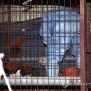 정열농장 이미지