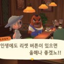 느린미학 이미지