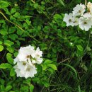 설악농장 이미지