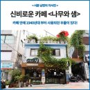 1940년대 우물을 품고 있는 신비로운 카페, 동인천 갤러리 카페 나무와 샘