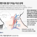 2024년 1월 5일 금요일 헤드라인 뉴스 이미지