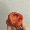 이마트에브리데이 래미안리더스원점 이미지