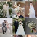 플라워하우스(Flower house) | 웨딩 준비05. 대전 오브하우스 스튜디오+다비플라워 계약 후기