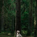 진성한의원 이미지