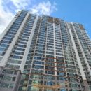 수영-301 이미지