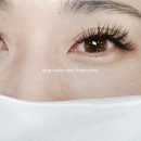 더시크라인 이미지