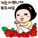 수방농장 Daum카페