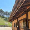 창원시립마산문학관 전시실 및 강의실 | 진해여행 - 웅천도요지전시관/ 봄맞이 체험행사 &#39;웅천도요지로 봄꽃나들이&#39; 벚꽃접시 색칠하기