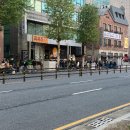 성심당 망고시루 케이크 먹으러 대전 다녀온 후기｜가격·보냉백·대기시간 총정리