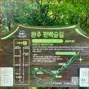 상관편백숲 공영주차장 | 완주 공기마을 상관 편백숲 위치 입장료 주차정보 총정리