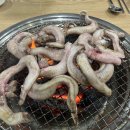 정가네산꼼장어