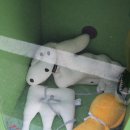 갈마2동행정복지센터 이미지