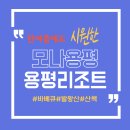 테라스파크 콘서트 | 여름 용평리조트(모나파크) 발왕산 날씨 맛집 콘서트 후기