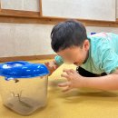 완주전통문화체험장 | 완주전통문화체험장 사랑채 1박2일♪ 완주 한옥숙소 완주 전통문화체험장