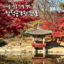 (주)비원비 | 서울 가을 단풍 명소 창덕궁 후원 관람 후기 (2025.11.20)