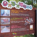 01-43 동구 이미지