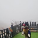 똑순이하우스 이미지