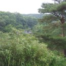 향산다개로 네이버블로그