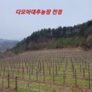 다모아농장 이미지