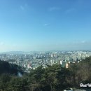 신양파크호텔 (예원) 이미지