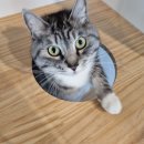 아이조아요양보호소 동탄점 이미지