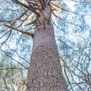 우람목장 이미지