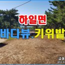 ﻿경남고성부동산 ─ 하일면 키위밭 토지매매, 조용하고 바다가 보이는 산 정상 이미지