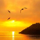 바다노을 이미지