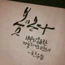 캘리그라피(주) 이미지