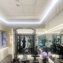 헬로헤일리 이미지