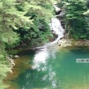 무주솔향기펜션 이미지