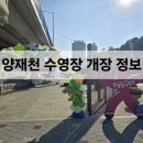 굴지1교 간이화장실 | 양재천 수영장 방문 후기, 개장 정보, 입장료, 피크닉존, 새로운 성인풀