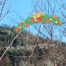 카페옥이네 북스테이 이미지