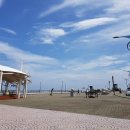 새천년공원길 이미지