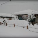 눈꽃여행 이미지