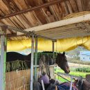 산양키우는 가 이미지