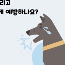 장호원동물병원 네이버블로그
