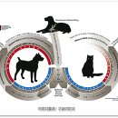 녹양동물병원 이미지