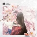 분당-356 이미지