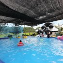 사과랑관광농원 이미지