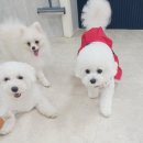 연산유치원 이미지