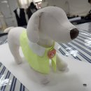 서울미싱 | 직장인 취미 미싱학원 노라노패션학원 후기