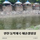 해솔캠핑장 | 계곡 바로 앞! 취사가능한 연천 해솔캠핑장 후기 동막계곡 캠핑 명당