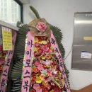 카이로스 복싱 짐 네이버블로그